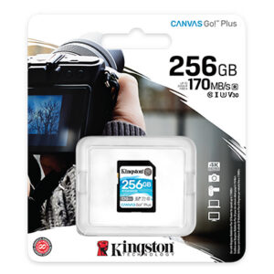 Kingston Canvas Go! Plus 256GB SDG3 Memory Card