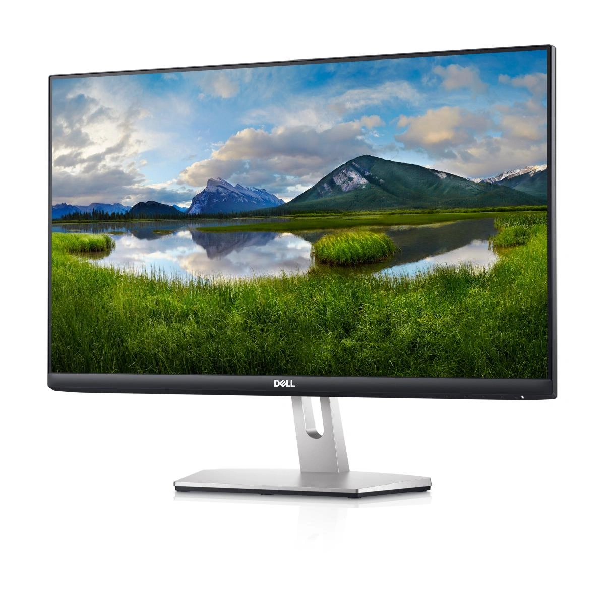 Dell S2421HN-24 FHD IPS Monitor